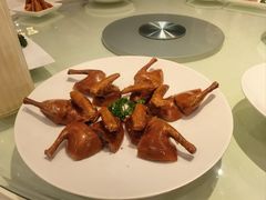 玻璃脆皮乳鸽-利苑酒家(金宝店)