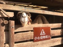 -呀路古热带植物园