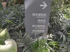 -国家植物园南园
