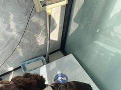 -北京派仕佳德动物医院·超导核磁·CT·神经科·骨科·内外科·急重症管理中心