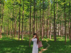 -河南省黄河迎宾馆