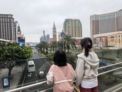 -澳门威尼斯人综合度假区