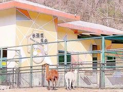 -无锡动物园·太湖欢乐园