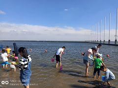 -碧海金沙