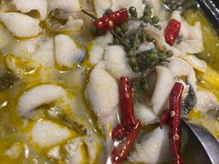 -船歌·鱼水饺青岛菜(合肥路永旺店)