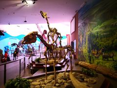 -陕西自然博物馆