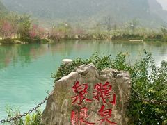 -靖西鹅泉风景区