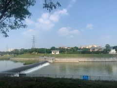 -风云岭森林公园