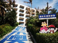 -东澳岛