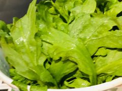 -南门四季铜锅涮肉(左家庄店)