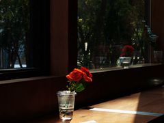 -LOTTA COFFEE(安居博文苑店)