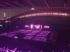 -南京奥林匹克体育中心-体育馆