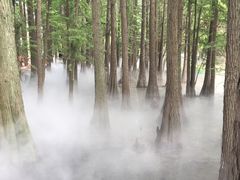 -东湖落雁景区