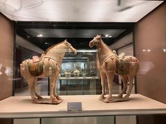 -西安大唐西市博物馆