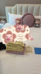 -宝媛会月子中心(越秀店)