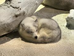 -珠海长隆海洋王国