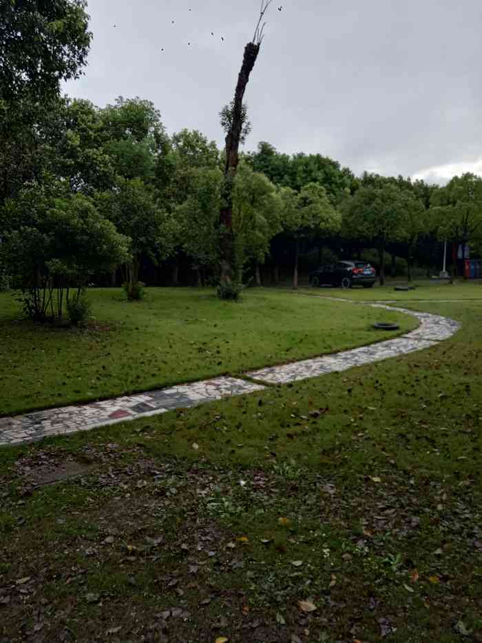 申隆生态园-"别的不说,光说它的导游图,没有"您现在的.