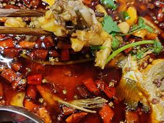 -红牌美蛙鱼头火锅(万辉国际广场店)