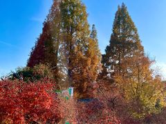 -白马涧龙池景区