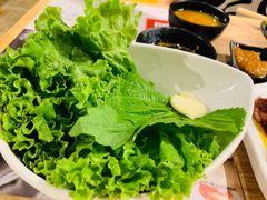 -权金城(龙旗店)