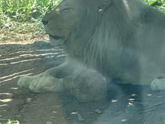-鄂尔多斯野生动物园