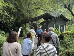 -西岭雪山大飞水景区