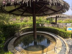 -大连金石滩绿发温泉假日酒店