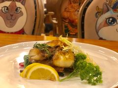 -more than meow吴止猫主题餐厅(承德 中船汇店)