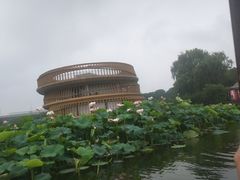 -荷塘月色湿地公园·向阳花洲