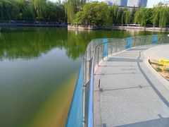 -黄村公园