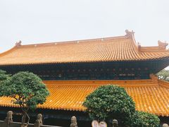 -普陀山风景名胜区-法雨禅寺