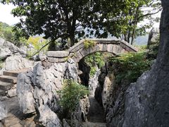 -千岛湖石林