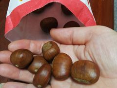 -阿男野栗王(金门路店)