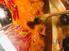 -小龙坎火锅(总店)