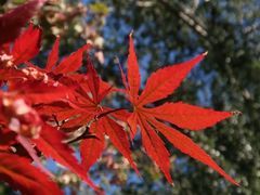 -香山公园-东宫门售票处