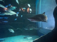 -成都浩海立方海洋公园