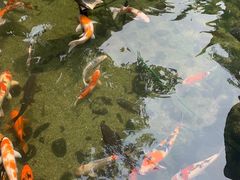 -鹅公村·国家非遗传承(荔湾店)