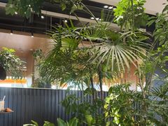 -gaga(深圳福田星河COCO Park店)