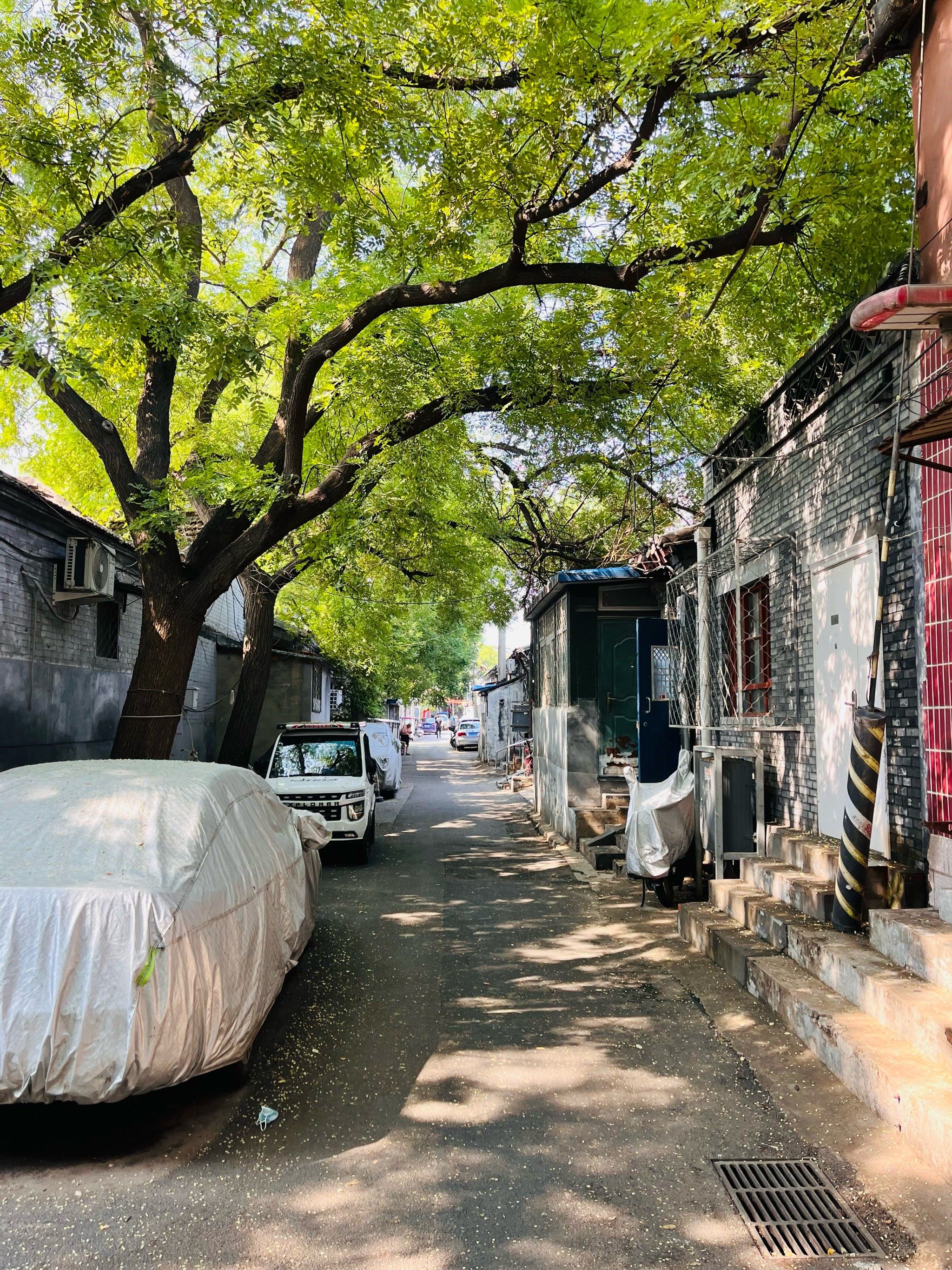 北京胡同漫游记🚴