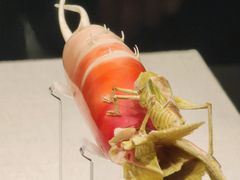 -河南博物院