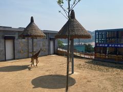 -西霞口神雕山野生动物世界