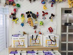 -翊宠yipet猫狗购宠庄园犬舍•猫舍