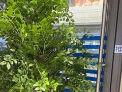 -天真蓝照相馆(龙岗万科里店)