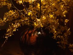 -花城粤菜餐厅(高新区店)