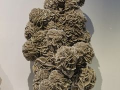 -重庆自然博物馆(新馆)