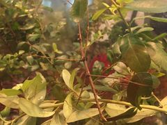 -上海昆虫博物馆