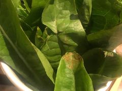 -冠菌火锅自助(东莞桥头店)