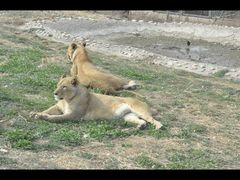 -西安秦岭野生动物园