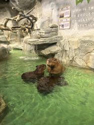 -Zoolung Zoolung动物主题公园(海信广场店)