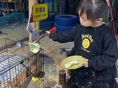 -顺德南宏海立方海洋公园
